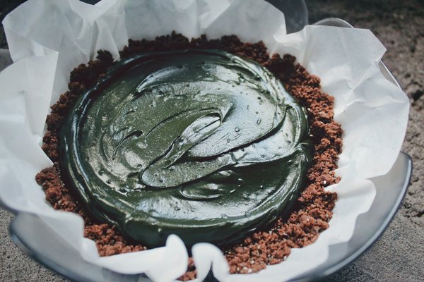 What Are the Benefits of Incorporating Spirulina into Your Daily Diet?